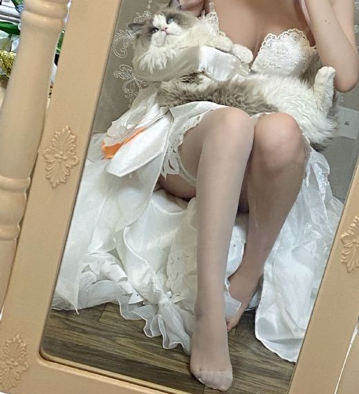 免费欧美黄色_BD英语在线观看电视
